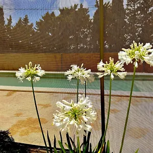 Agradable Con Piscina En La Barrosa , Chiclana de la Frontera España